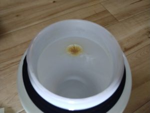 IMG_20220725_113226318-300x225 IMG_20220725_113226318