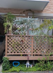 PXL_20250712_070630544.MP_-1-218x300 PXL_20250712_070630544.MP