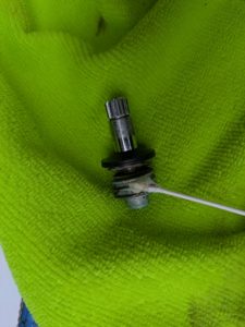 PXL_20250712_075443975-1-225x300 PXL_20250712_075443975