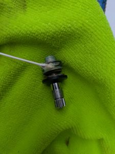 PXL_20250712_075443975-225x300 PXL_20250712_075443975