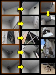 ee3be1d100caf1aa771552d59c2bd436-225x300 スライド3