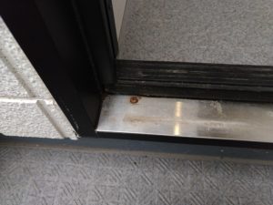 IMG_20220531_143103606-300x225 IMG_20220531_143103606