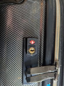 PXL_20260112_060045421-225x300 PXL_20260112_060045421